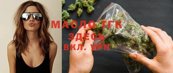 амф Верхний Тагил