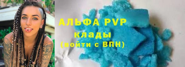 амф Верхний Тагил